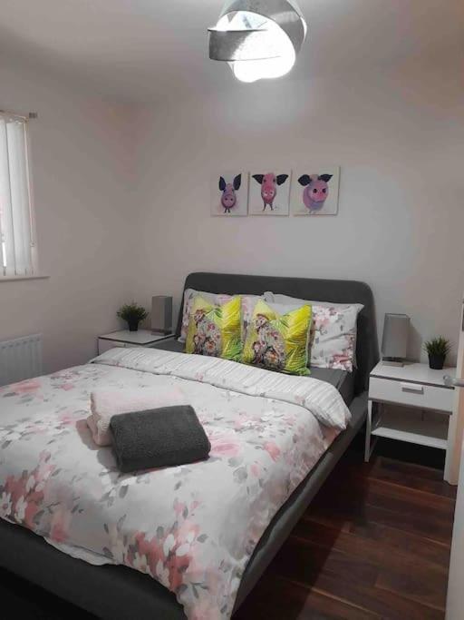 Belfast Apartment Bagian luar foto